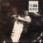 THE WATERBOYS – THE WATERBOYS ON