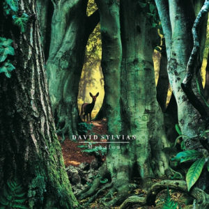 DAVID SYLVIAN – MANAFON ON