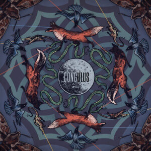 CONGULUS - BOZKIR - Görsel 1